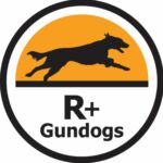 Rplusgundogs